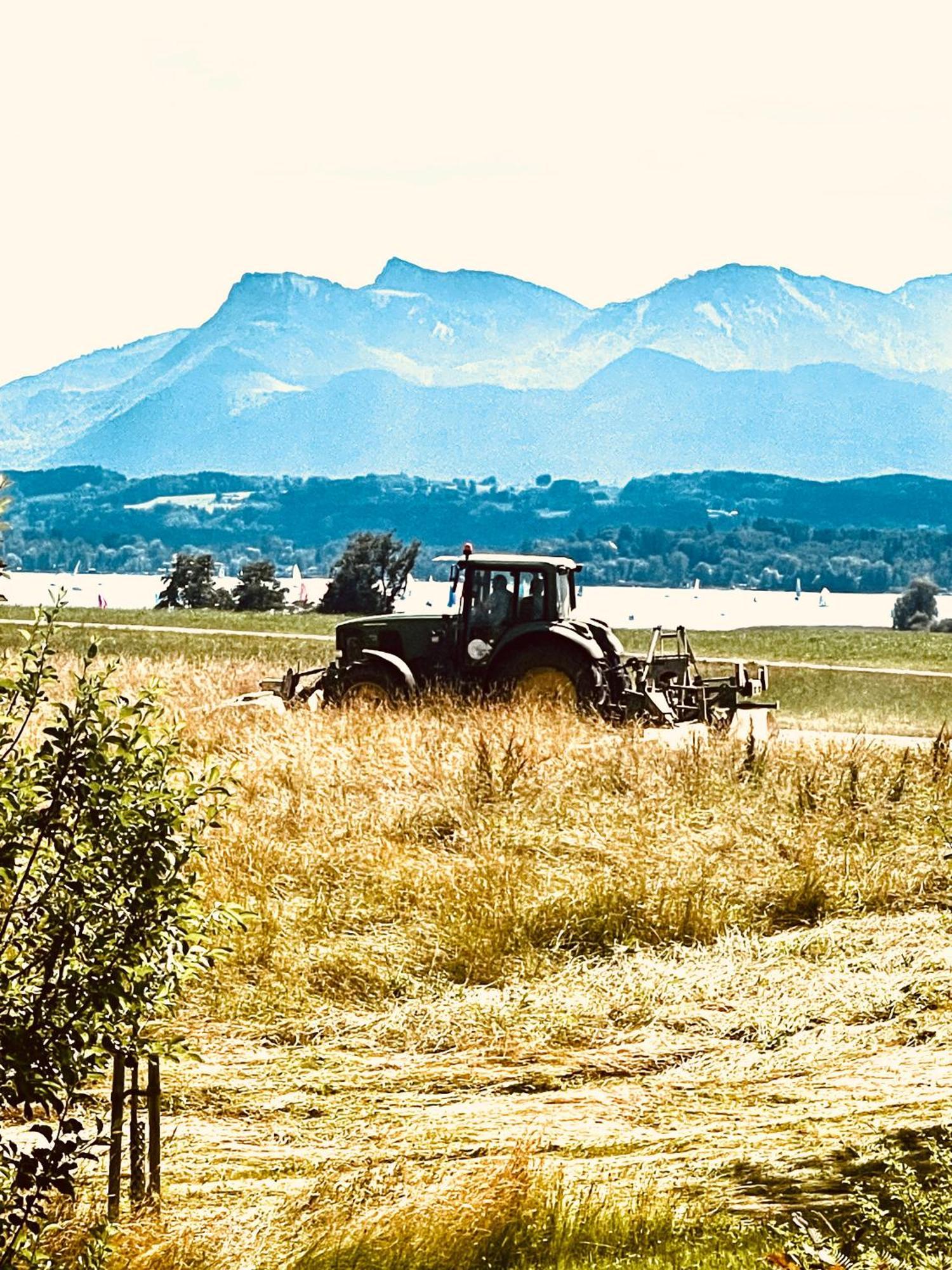 Zuhaeusl Am Chiemsee Appartements Breitbrunn am Chiemsee Eksteriør bilde