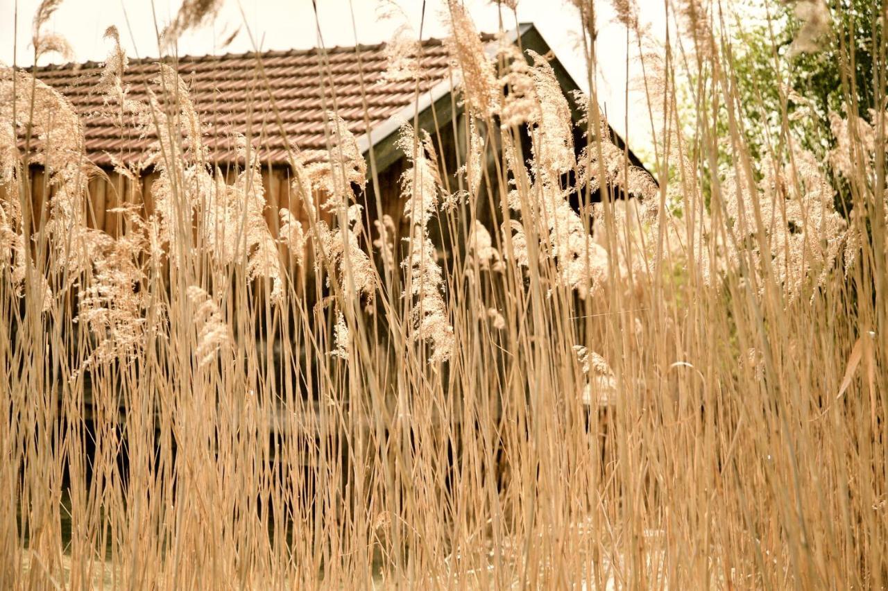 Zuhaeusl Am Chiemsee Appartements Breitbrunn am Chiemsee Eksteriør bilde